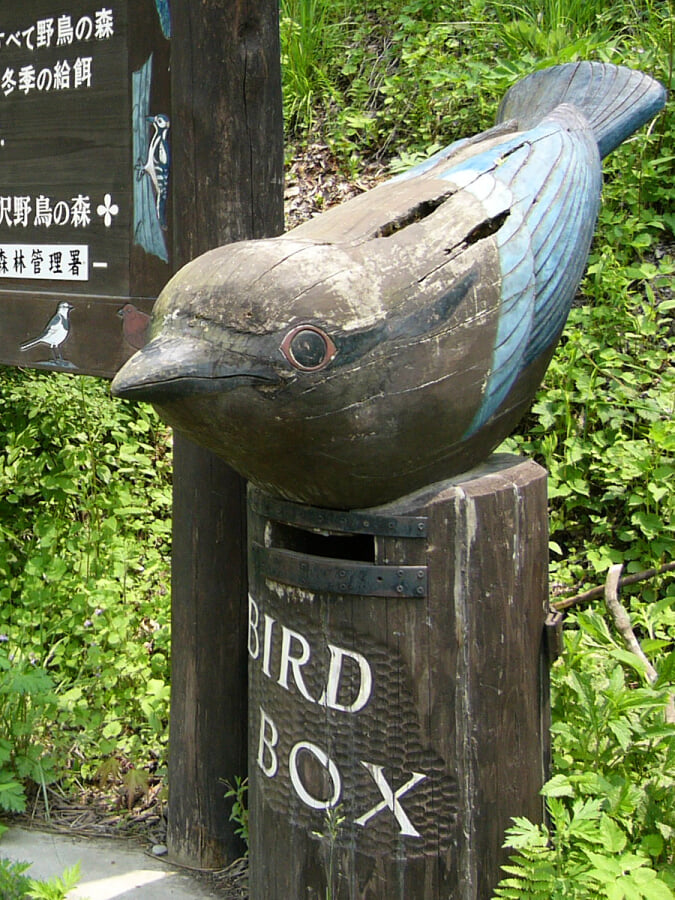軽井沢野鳥の森の写真2