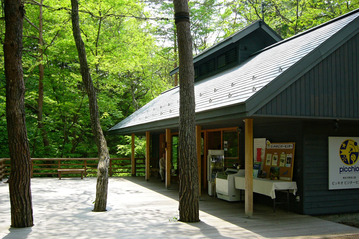 軽井沢野鳥の森の写真1