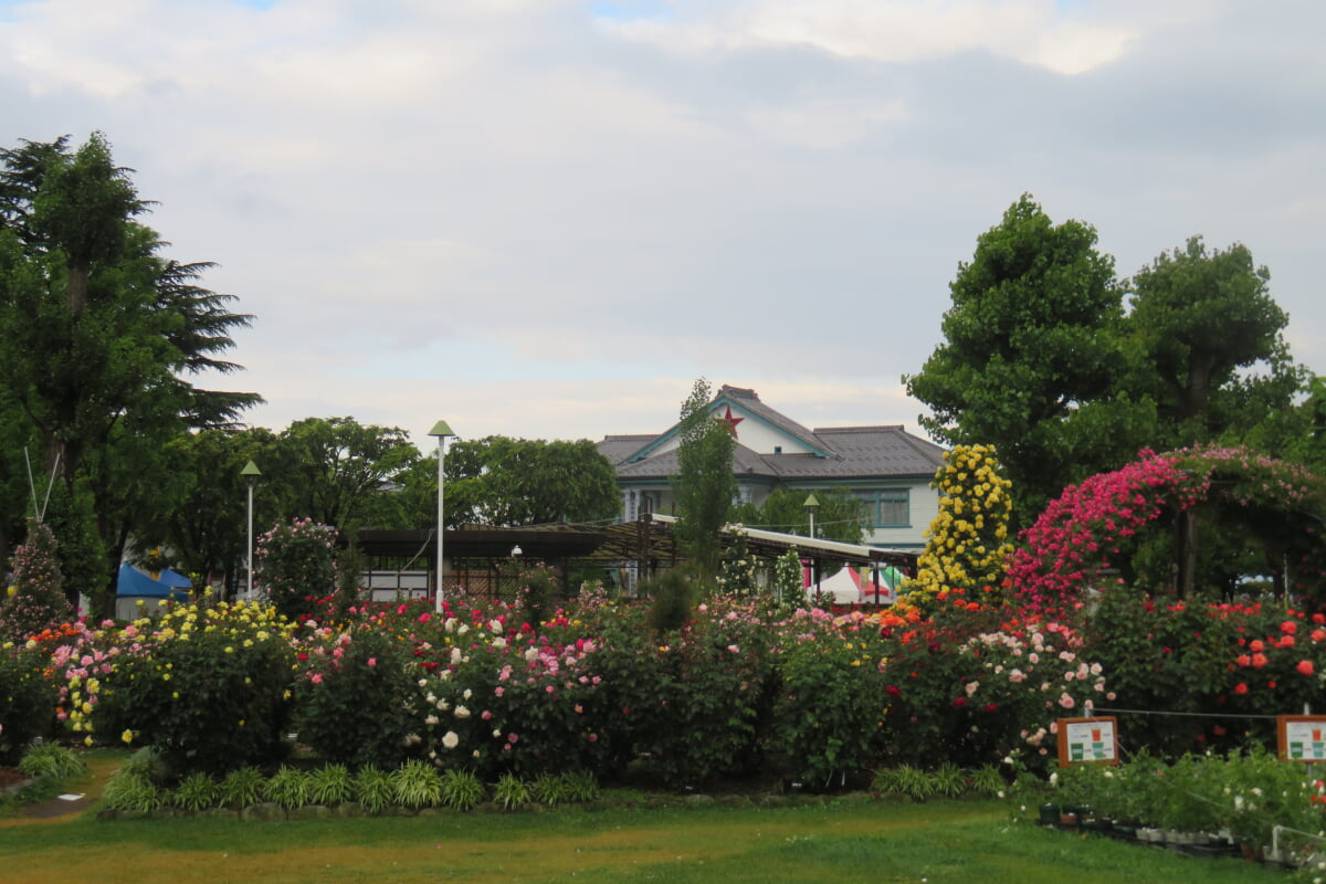 一本木公園の写真1