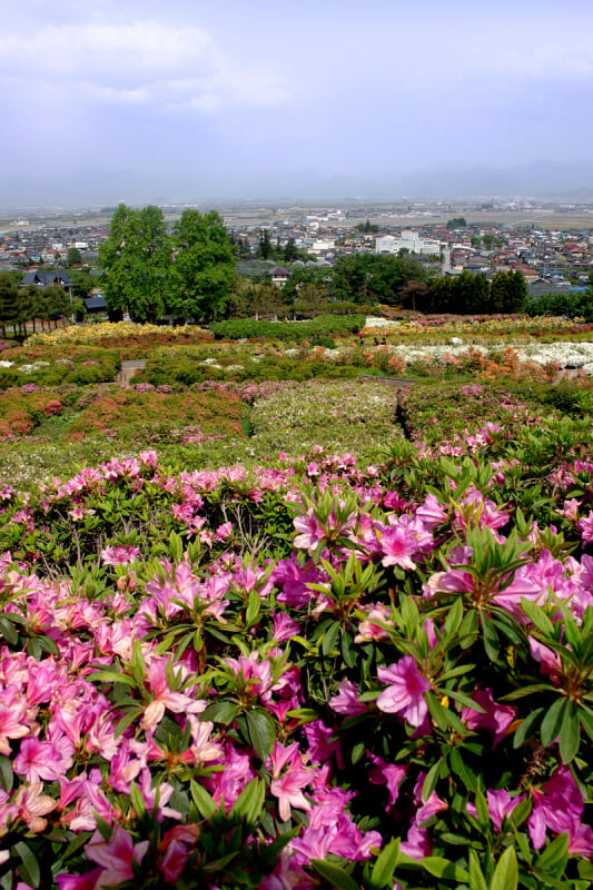 寒河江公園の写真1