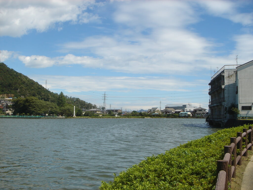 苧ヶ瀬池の写真3