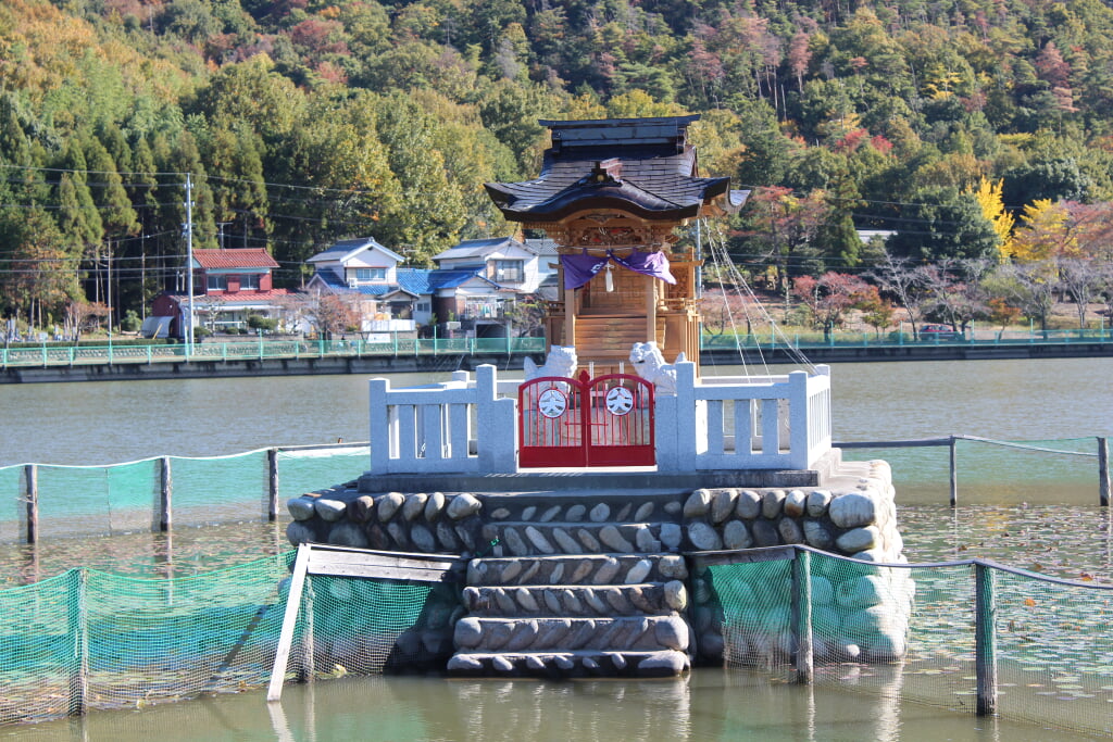 苧ヶ瀬池の写真5