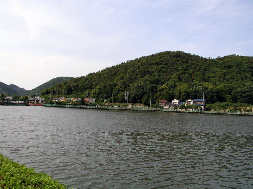 苧ヶ瀬池の写真6