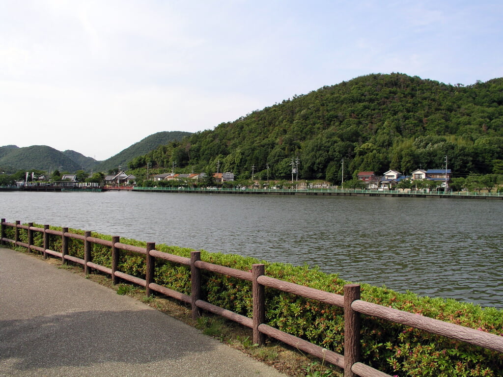 苧ヶ瀬池の写真1