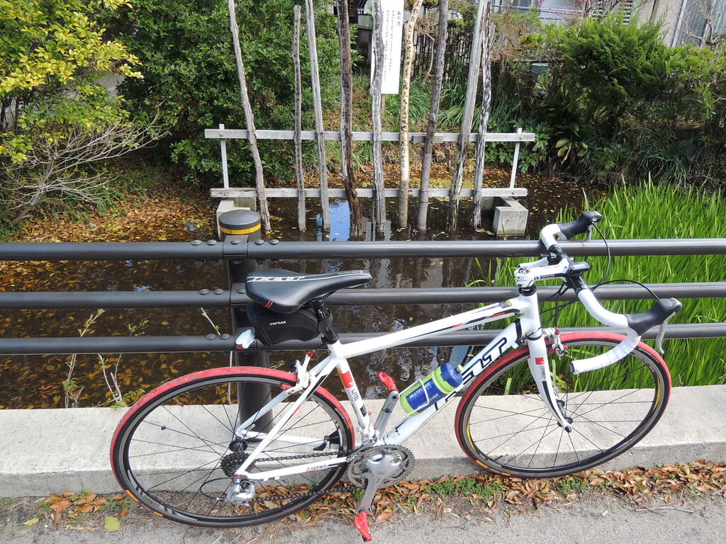 野間大坊の写真3