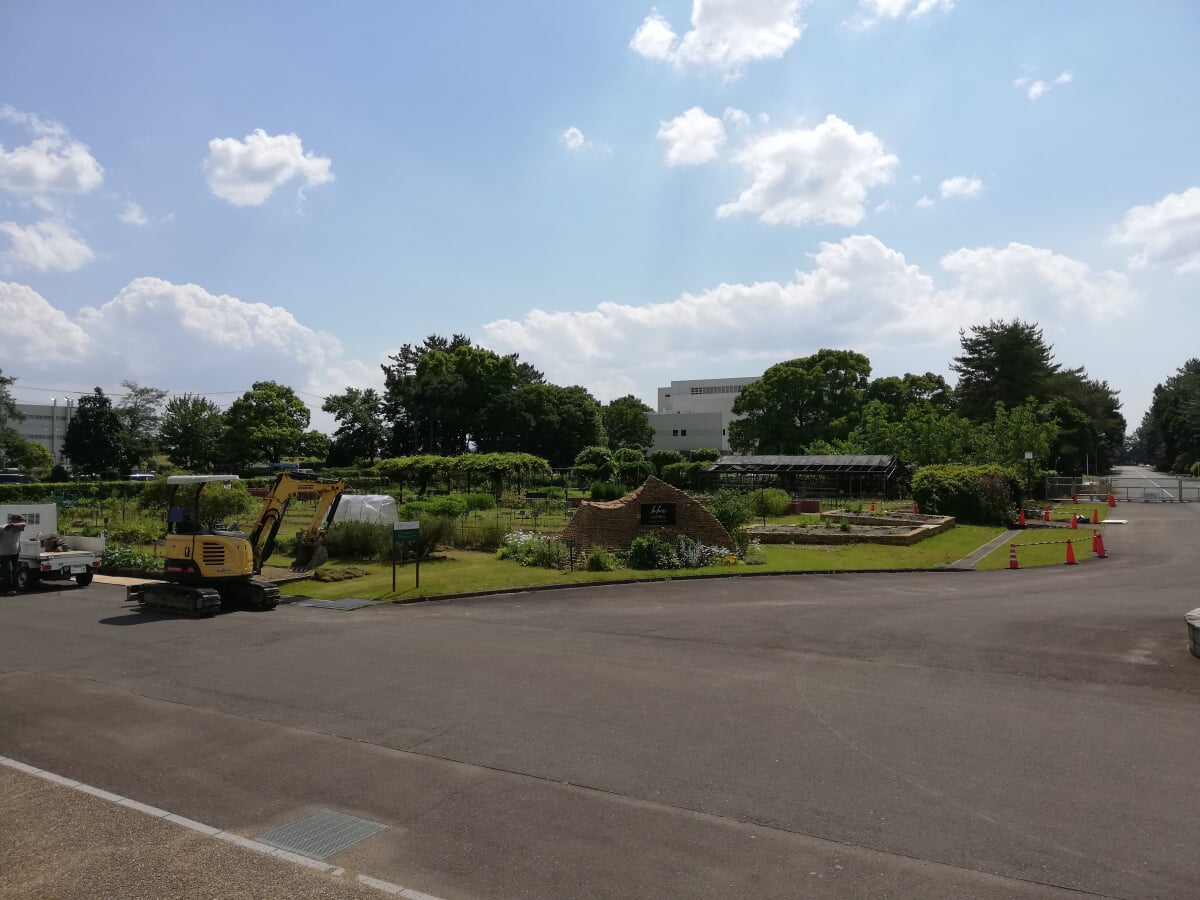 星薬科大学 薬用植物園の写真5