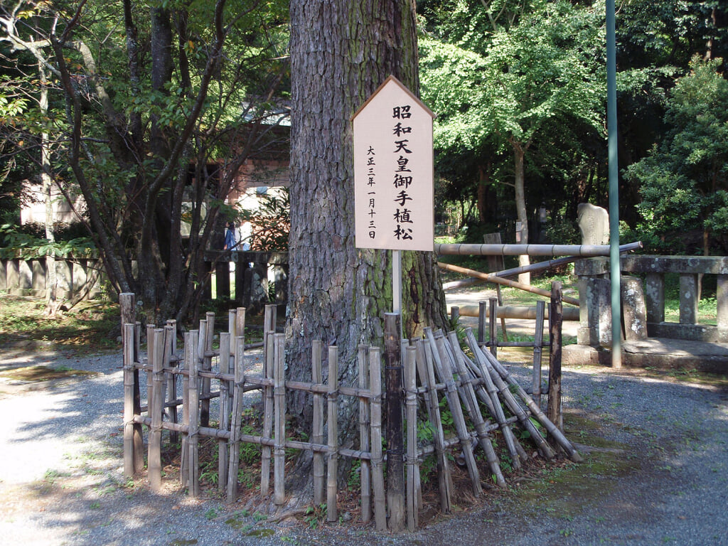 伊豆山神社の写真2
