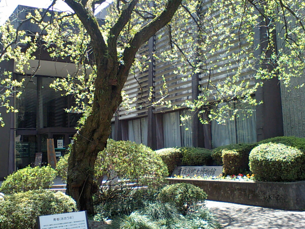 青梅市郷土博物館の写真1