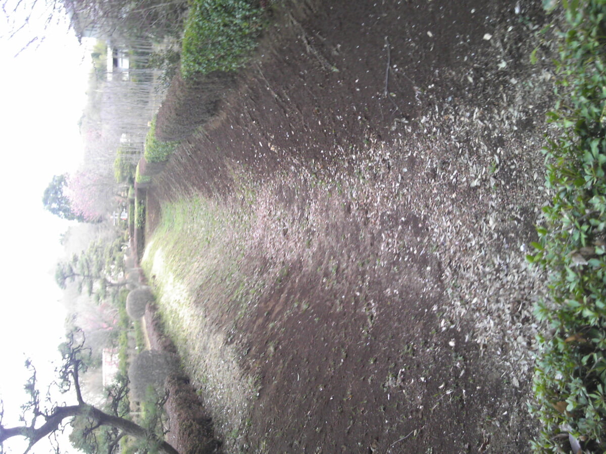 赤山陣屋跡の写真1