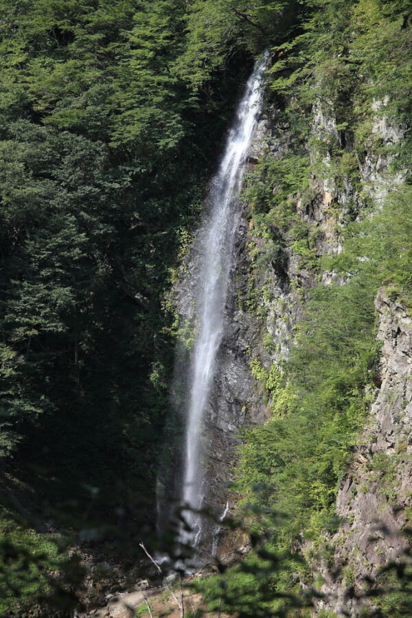 回顧の滝の写真2