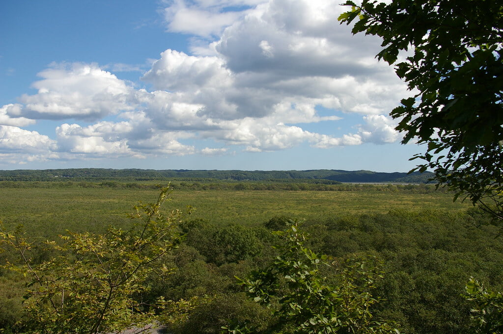 コッタロ湿原展望台の写真3