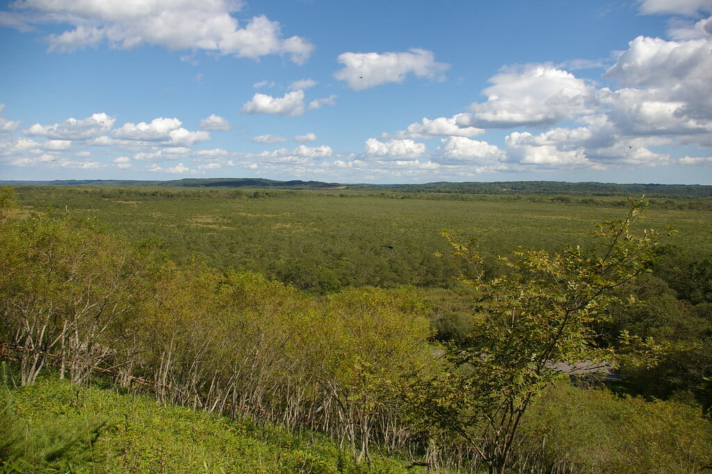 コッタロ湿原展望台の写真4