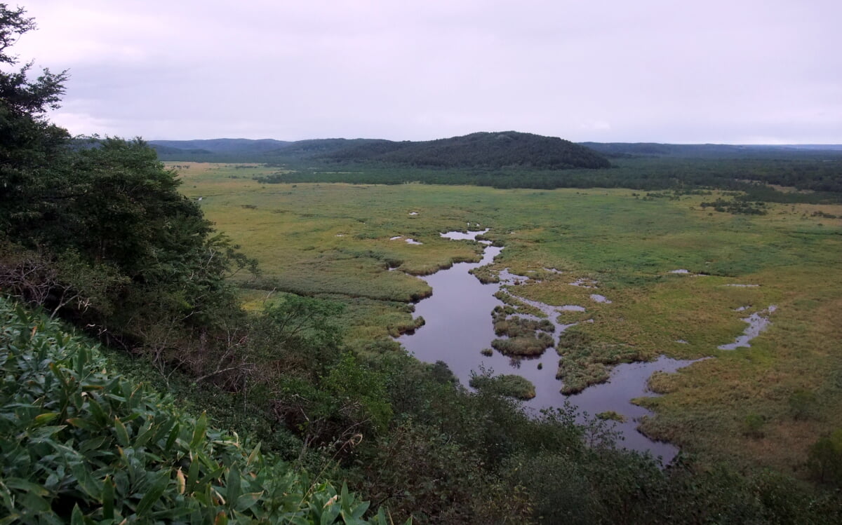 コッタロ湿原展望台の写真7