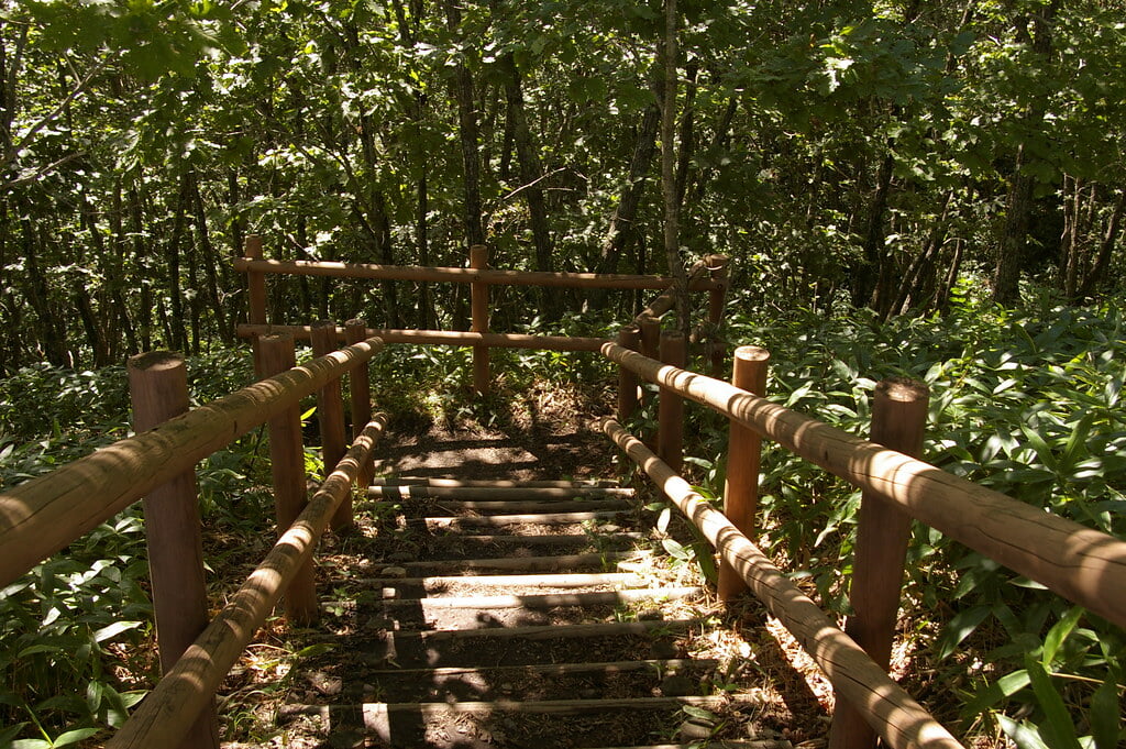 コッタロ湿原展望台の写真8