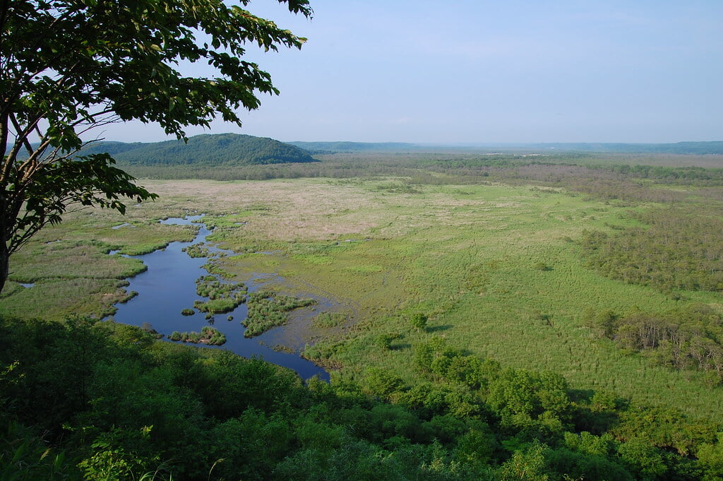 コッタロ湿原展望台の写真9