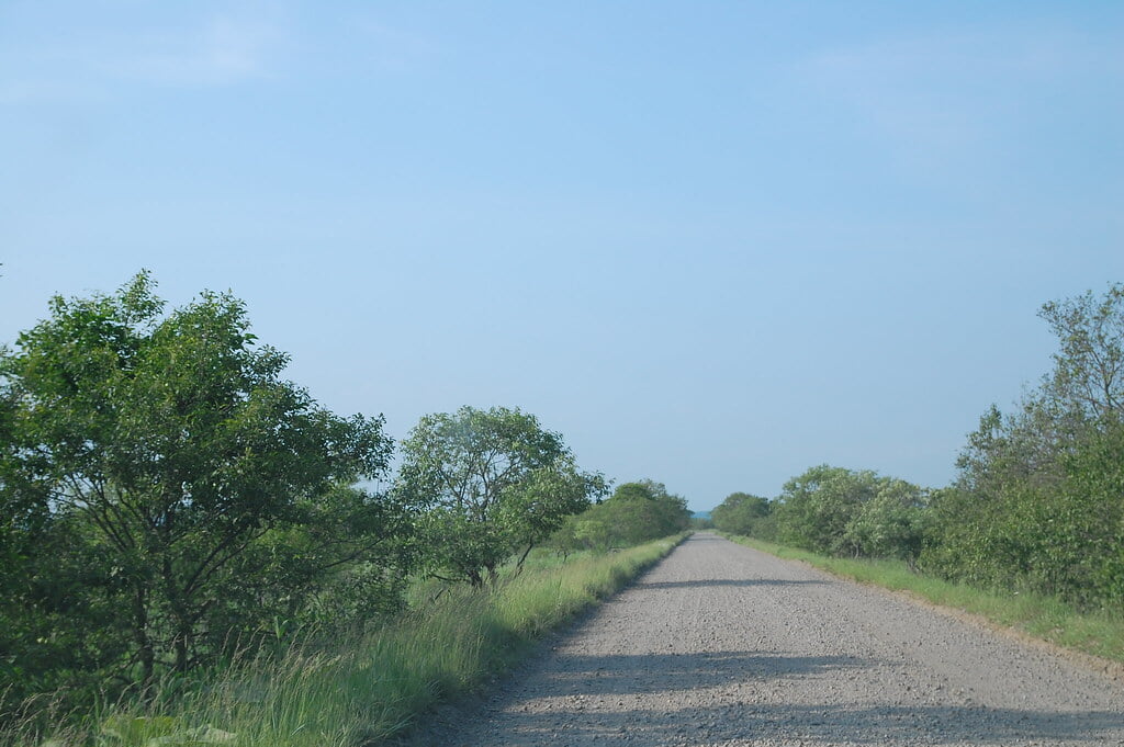 コッタロ湿原展望台の写真12