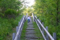 コッタロ湿原展望台