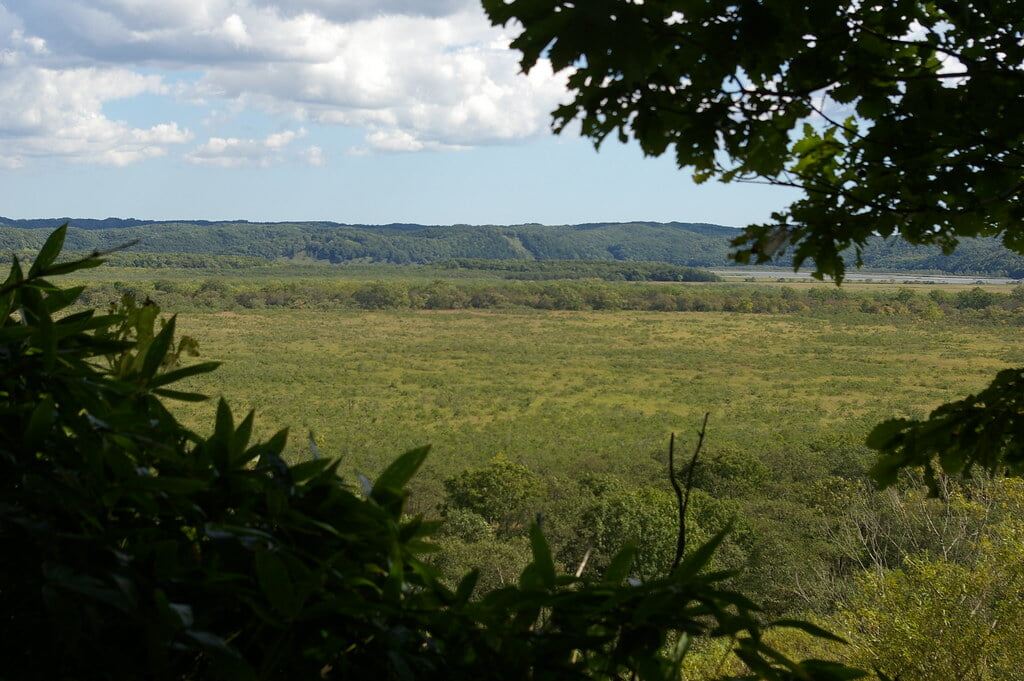 コッタロ湿原展望台の写真13