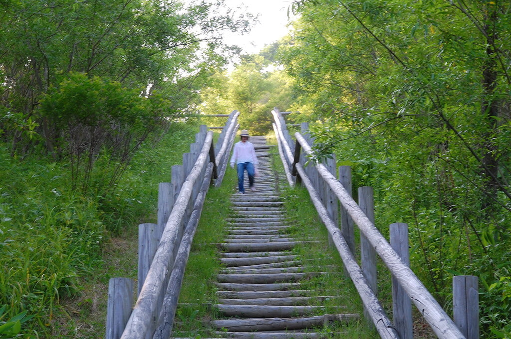 コッタロ湿原展望台の写真1
