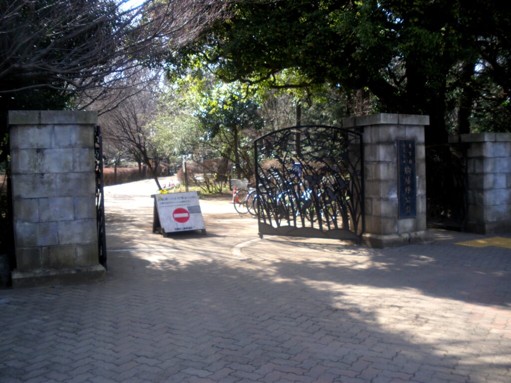 駒場野公園の写真2