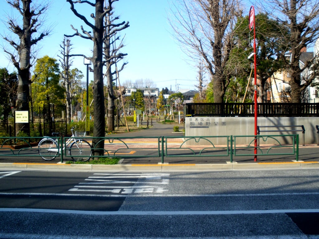 駒場野公園の写真1