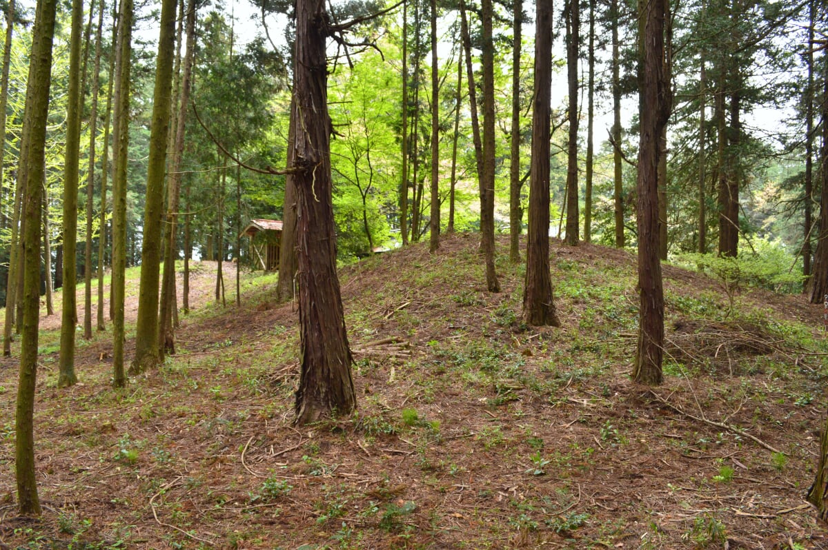 愛宕塚古墳の写真8