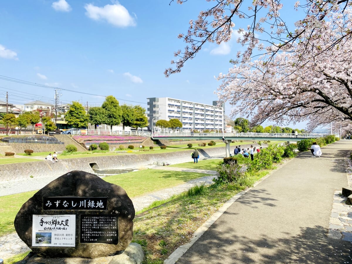 みずなし川緑地の写真1