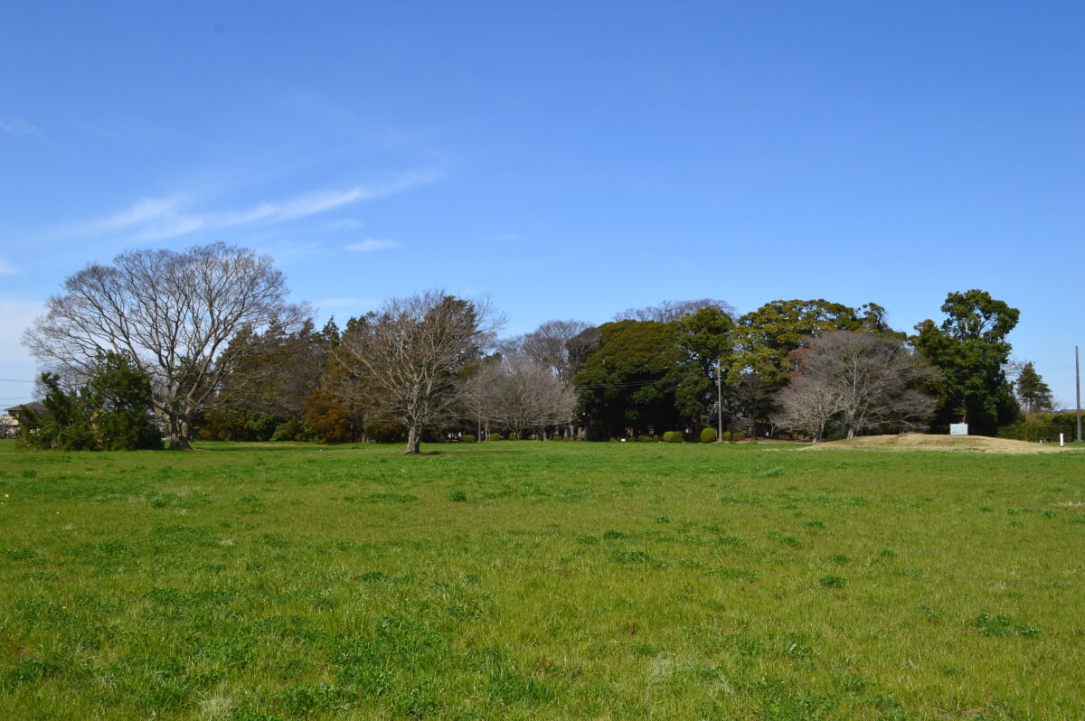 上総国分寺跡の写真2