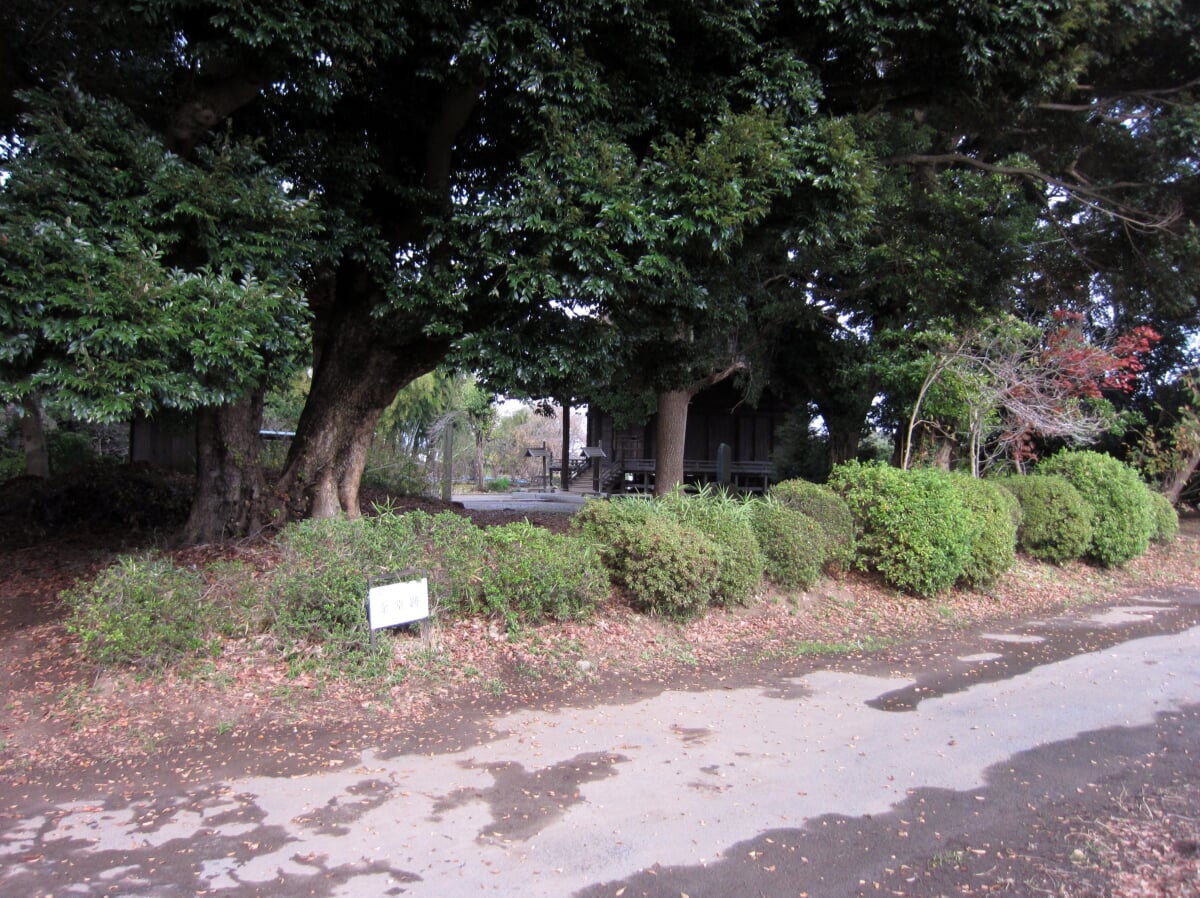 上総国分寺跡の写真9