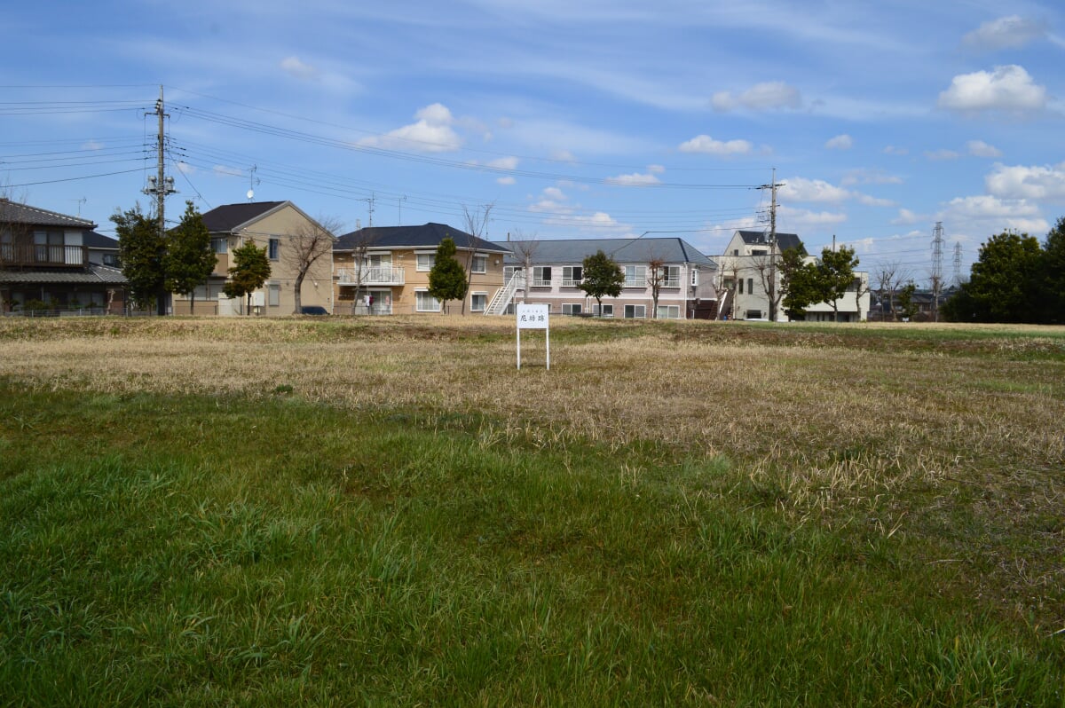 上総国分寺跡の写真14