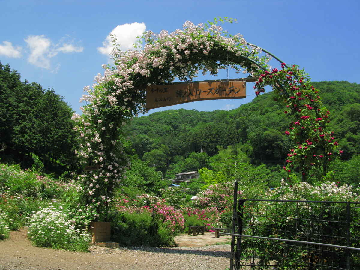 滝ノ入ローズガーデンの写真1