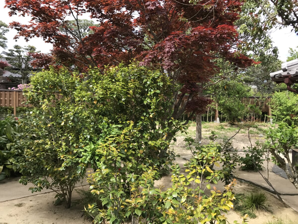 青木周弼旧宅の写真5