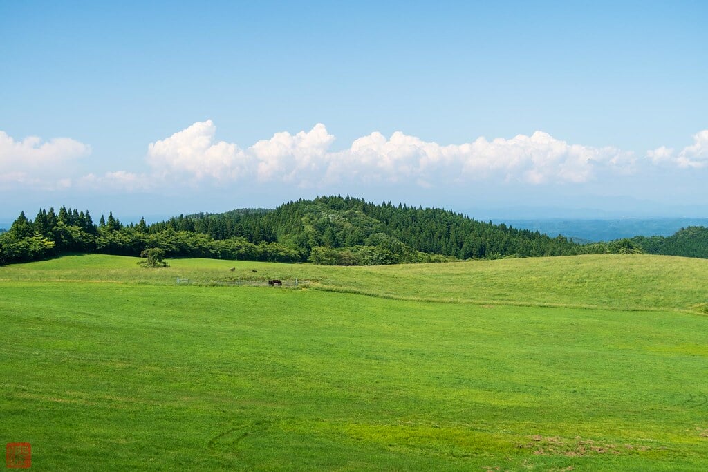 大小屋ファミリーランドの写真2