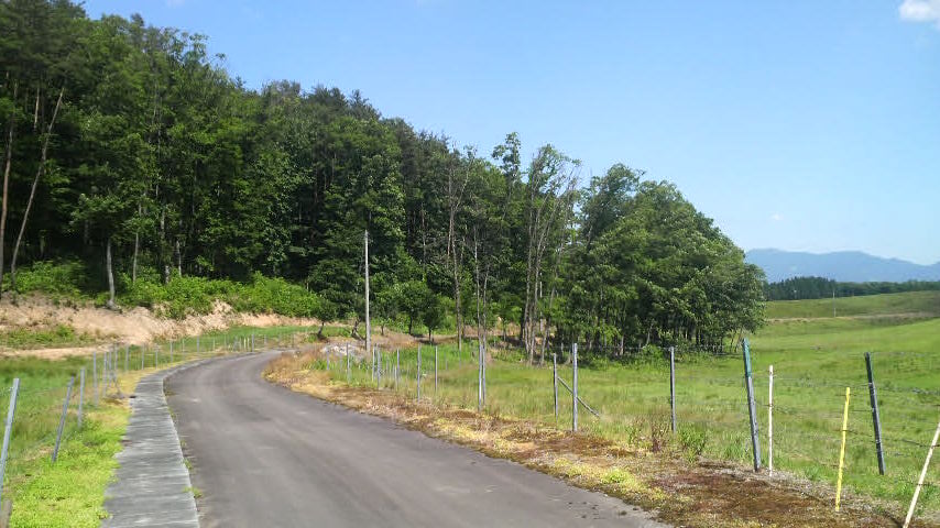 秋山牧場の写真2