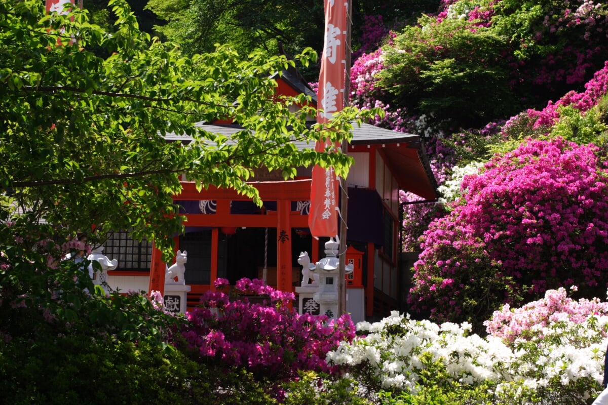 三隅公園の写真2