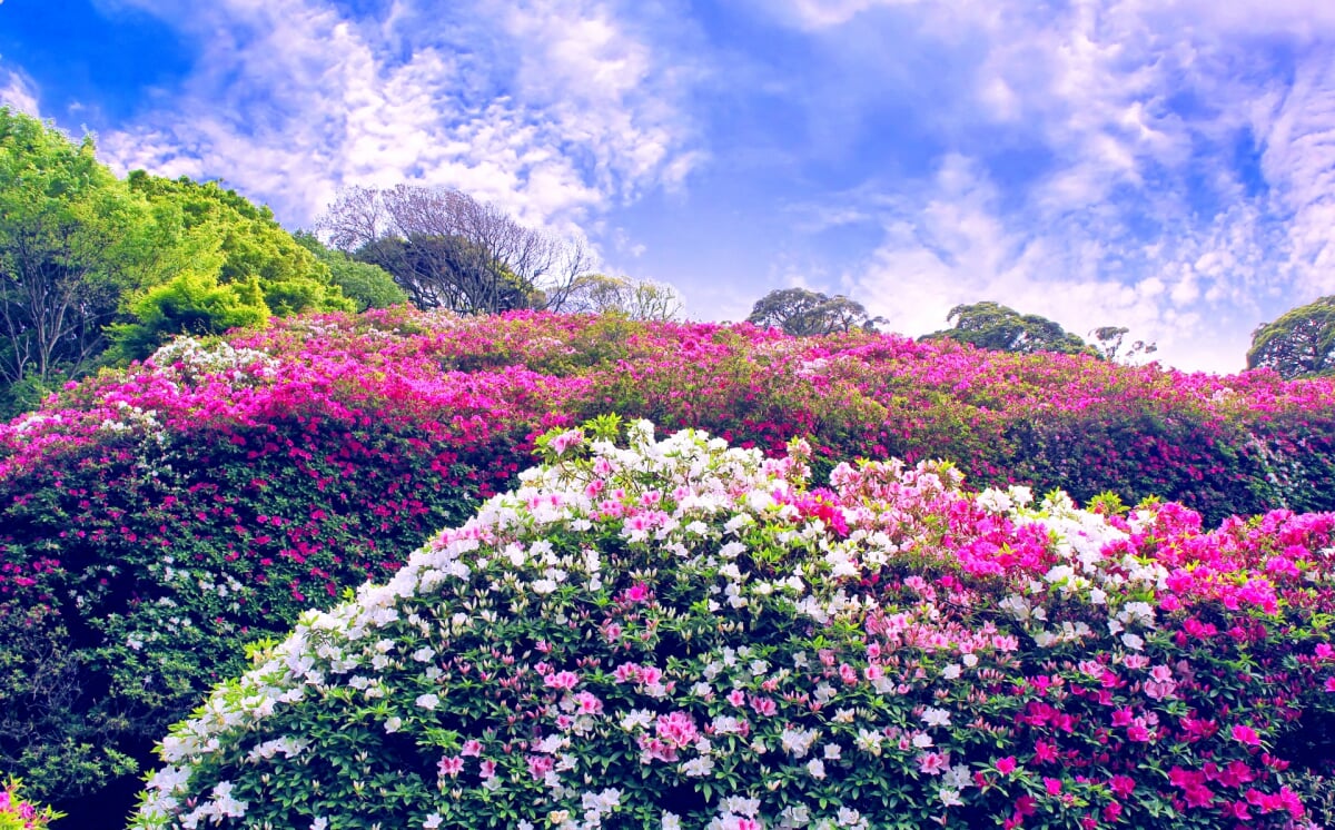 三隅公園の写真3