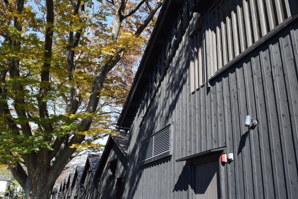 庄内米歴史資料館の写真2