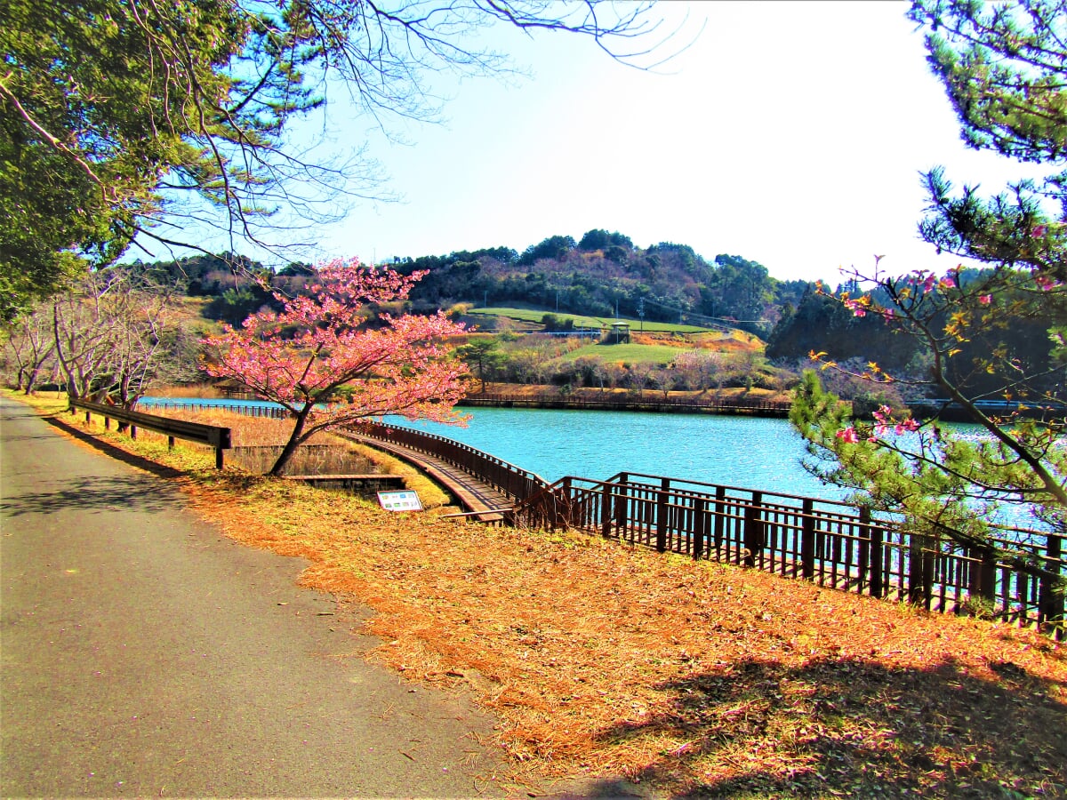 丹野池公園の写真1