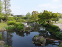 検見川総合運動場