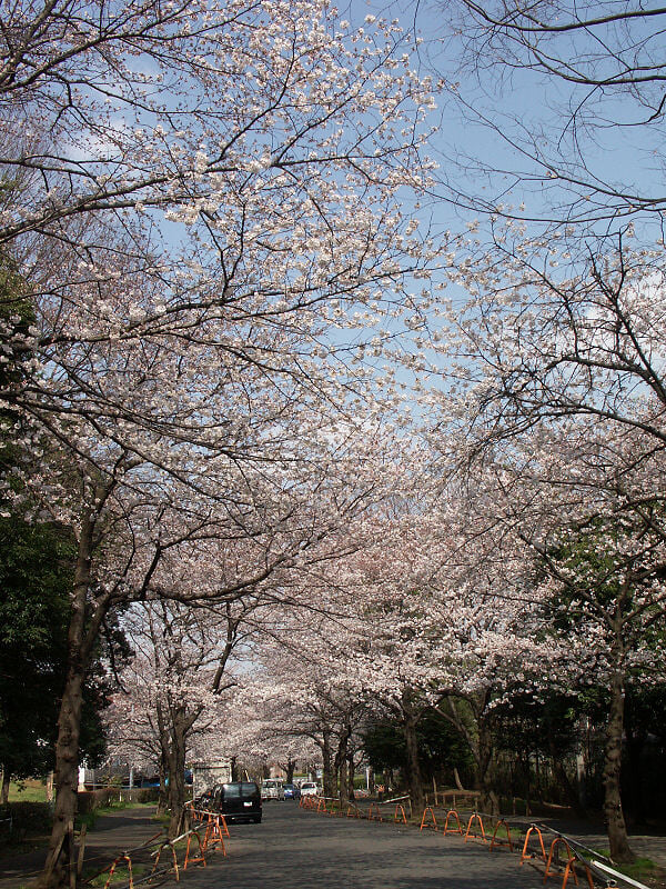 緑ヶ丘霊園の写真1