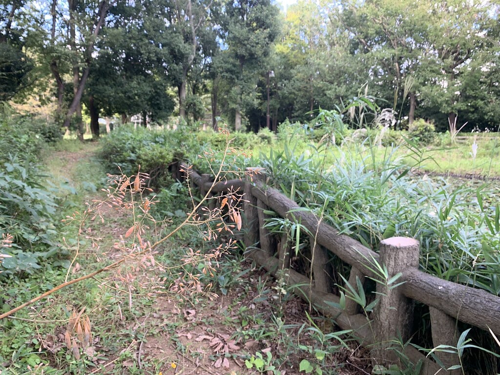 大平公園の写真4