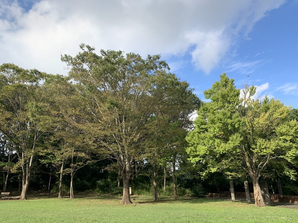 大平公園の写真6