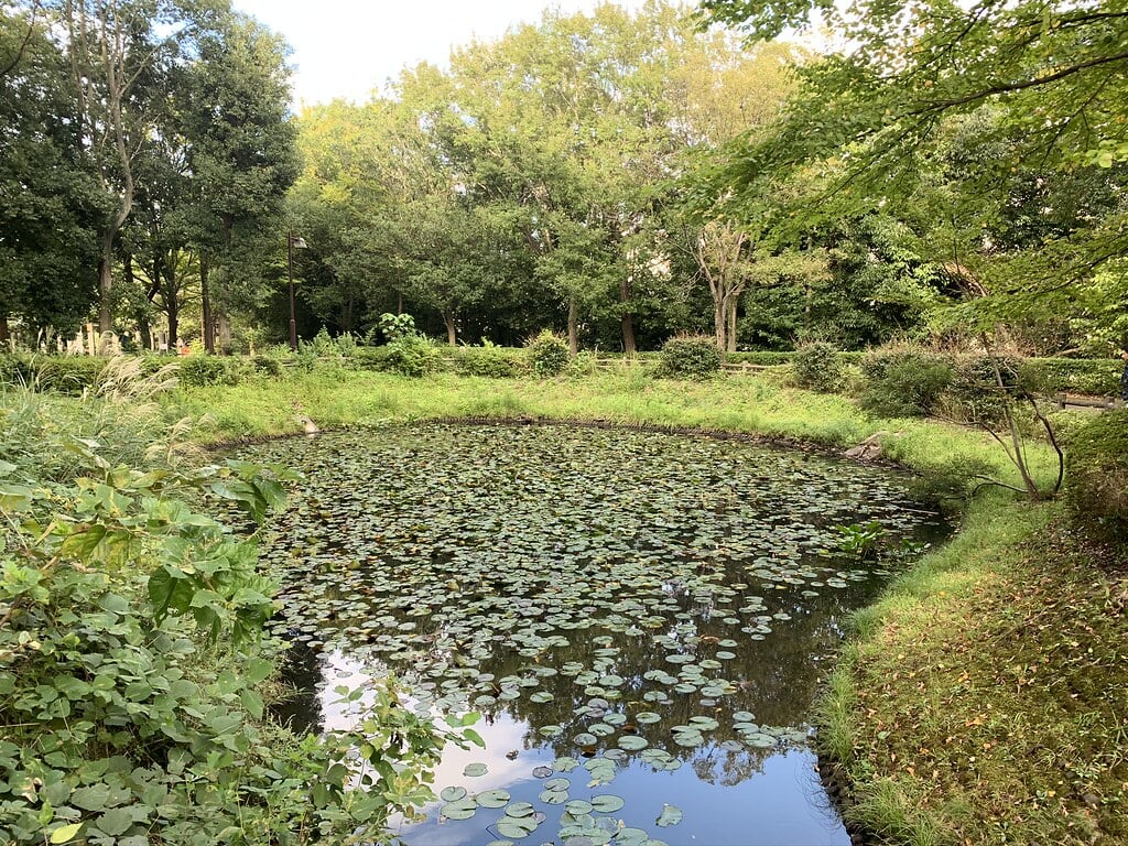 大平公園の写真7