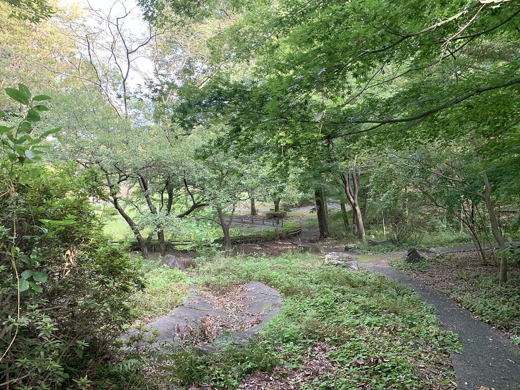 大平公園の写真8