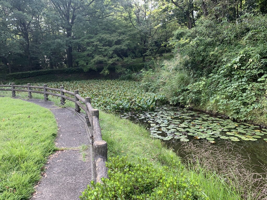 大平公園の写真10