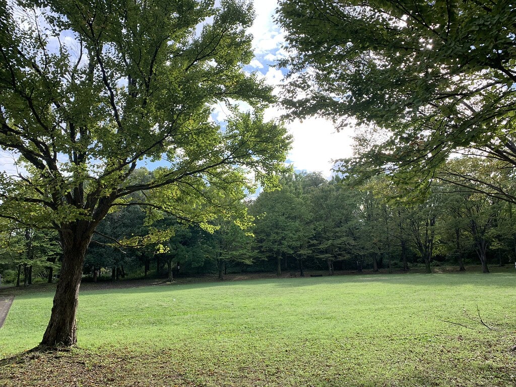 大平公園の写真11