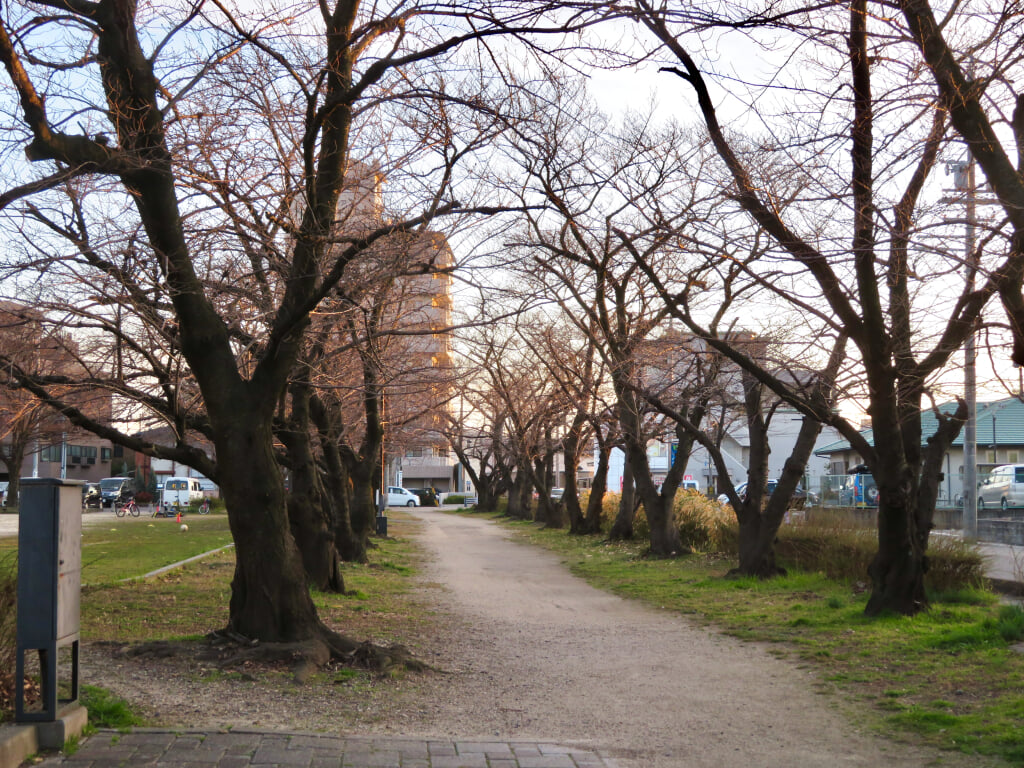 二子山公園の写真11