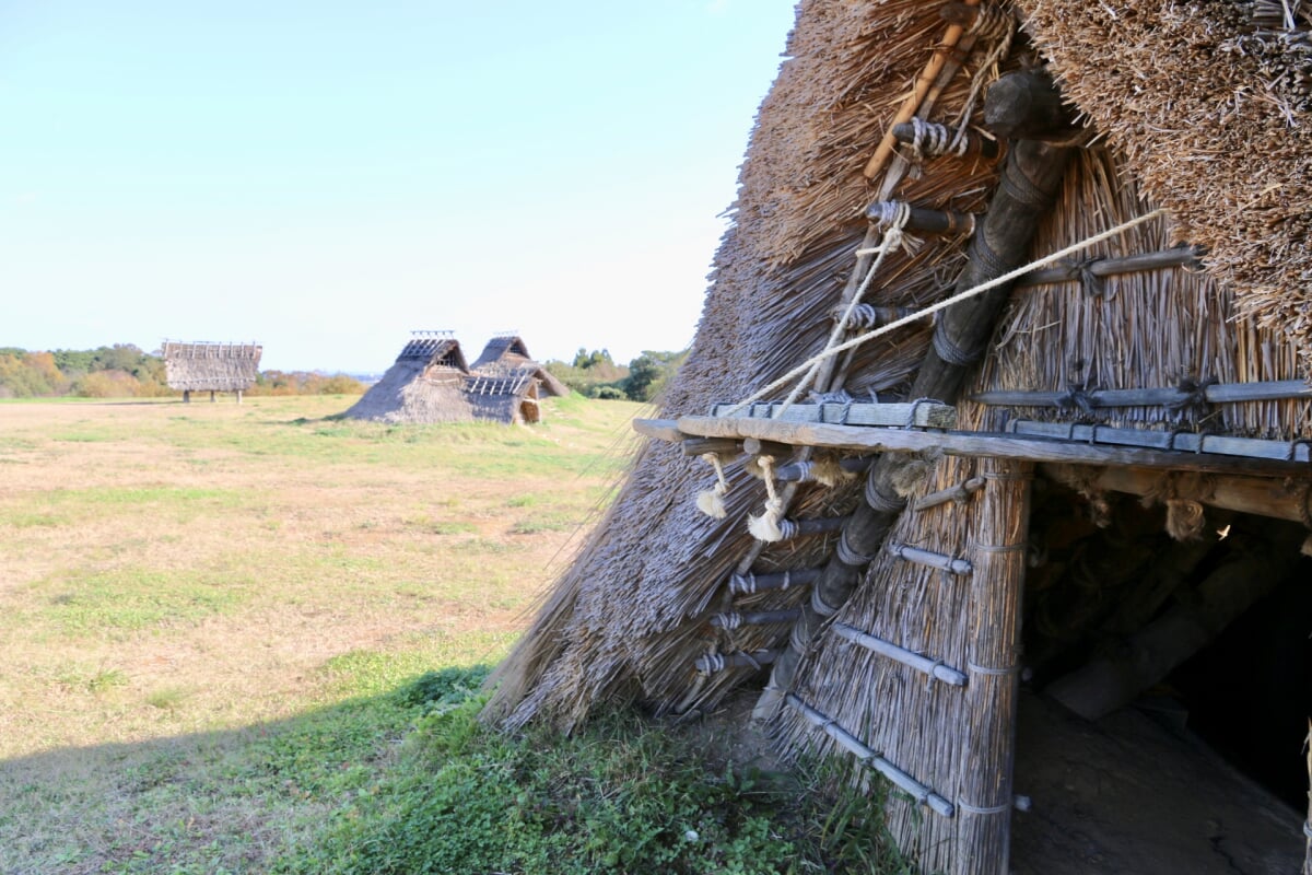 むきばんだ史跡公園の写真5