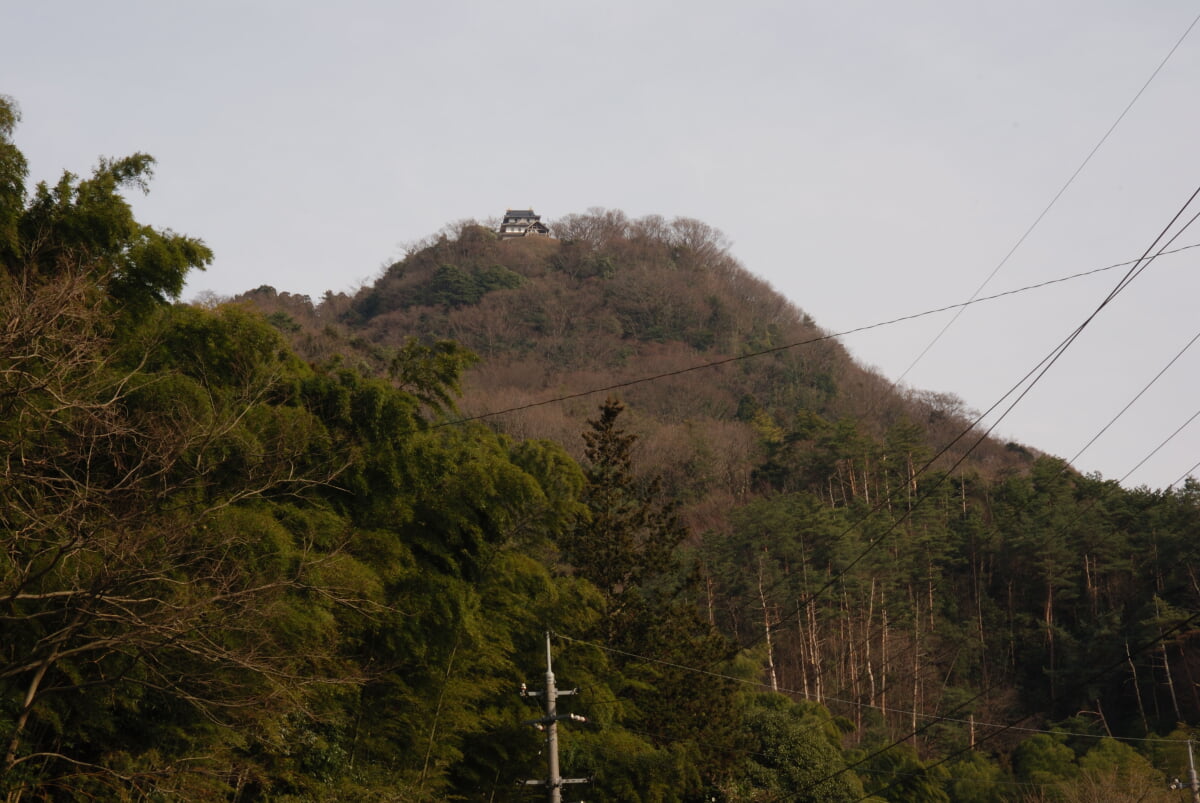 羽衣石城の写真2