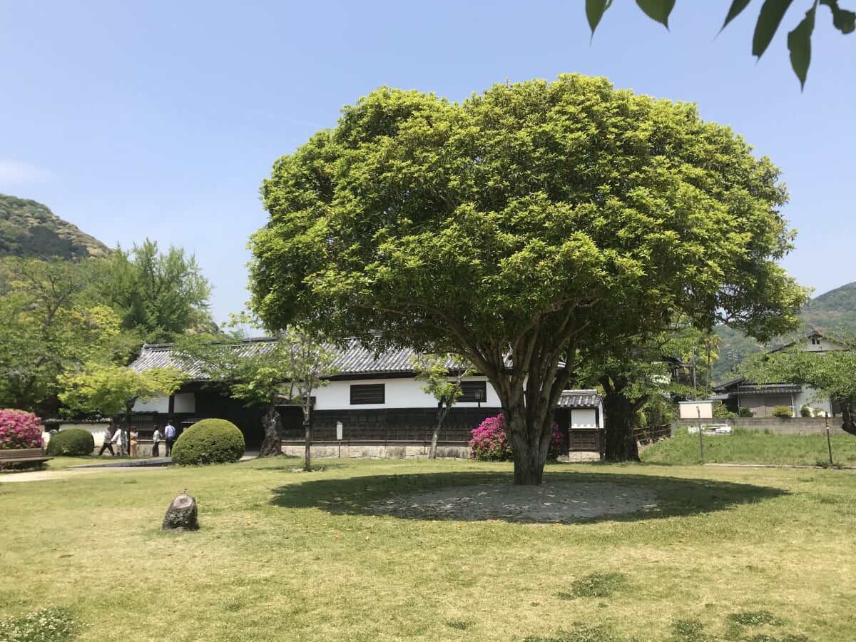 香川家長屋門の写真2